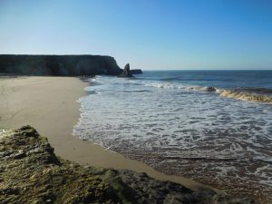 How to Get to Davenport Beach – Rare Sea Glass